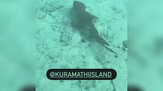 Kristina Pimenova Maldives 2020