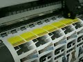 Real color Imprint for Polo or T-shirt clothing for heat transfer printing by heat press 1224-11