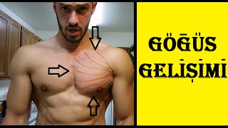 Gogus'un NEDEN Gelismiyor | Anatomik ve Çizimli Açıklama
