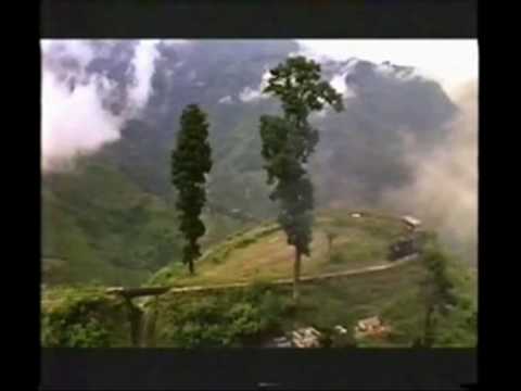 Gadi Bula Rahi Hai Citi Baja Rahi Hai - (Film Dost - 1974)