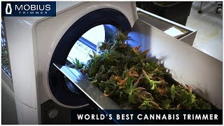Worlds Best Cannabis Trimmer - Mobius Trimmer M108
