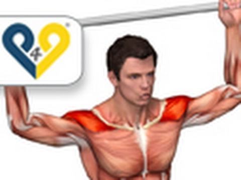 Veja a importncia de exercitar o manguito rotador