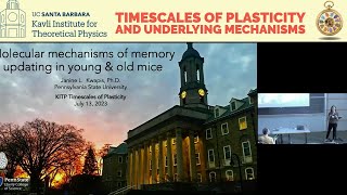 Molecular Mechanisms Of Memory Updating In Young And Old Mice Janine Kwapis Penn State