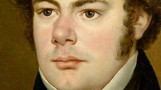 Schubert - String Quartet No. 14 In D Minor Death And The Maiden - Ii. Andante Con Moto