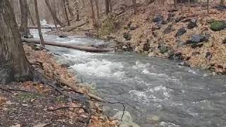 Foundry Brook, Cold Spring Ny