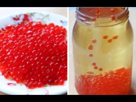 Как приготовить красную икру в домашних условиях рецепты Как приготовить красную икру в домашних условиях рецепты