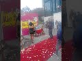 risas de america 4