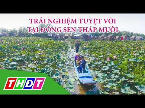 Trải nghiệm tuyệt vời tại đồng sen Tháp Mười | Tạp chí Du lịch xanh | THDT