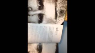 Watch U2 In A Lifetime video
