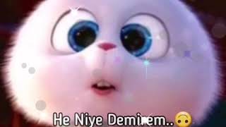 Ureyim Askim Deye Bilersen Mene? Gozel Statuslar