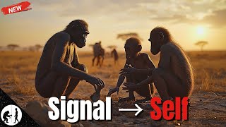 What If Life Has Always Been Remembering Itself? - From Molecules To Memory Boring Sapiens