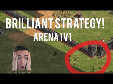 AoE2 - Absolutely Brilliant Arena Strategy!