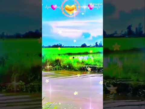 🎶🎶🎶 80 NĂM HAY 100 NĂM 🎶🎶🎶