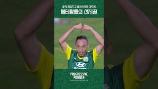 _roNAdOY9Ik Video Image