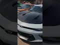 Raleigh Nc Meet Raleigh Nc Meet