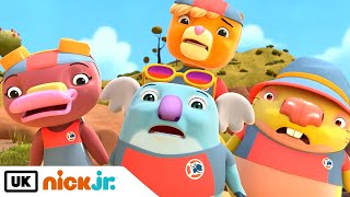 Kangaroo Beach Looking Out For Trophy Thieves Nick Jr. Uk