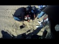pismo