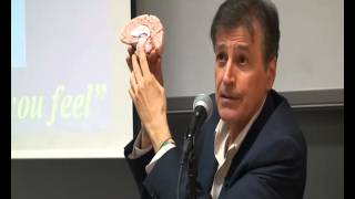 Brainspotting Por By David Grand Una IntroducciÓn An Introduction Brainspotting Por By David Grand Una IntroducciÓn An Introduction
