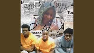 Dna Freestyle