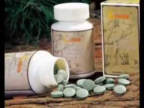 Кордицепс китайский выращивание и уход 17