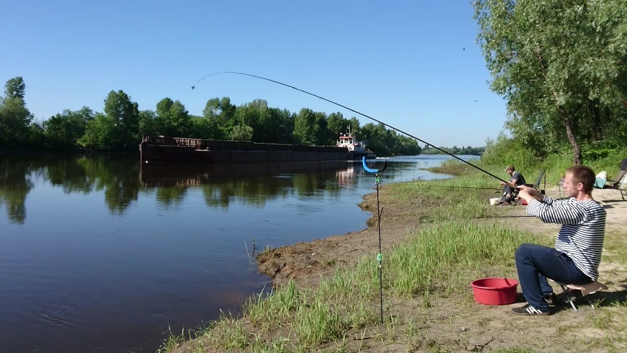 Рыбалка май на десне Рыбалка май на десне