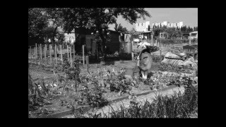 Watch Serge Lama Les Jardins Ouvriers video