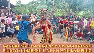 GANDRUNG LANANG TRESNO BUDOYO GOMBENG LIVE SECANG KALIPURO