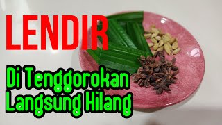 Cara Membersihkan Lendir Di Tenggorokan Dan Paru - Paru Dengan Cepat