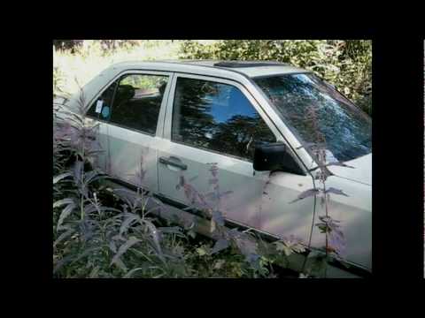 The Old German Mercedes W124 230E 88 Video 1