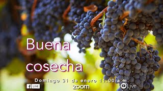 Buena Cosecha | Servicio domingo