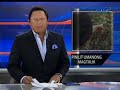 Saksi: Magkasintahan at kaibigan sa Bulacan, sapilitan umanong pinagtalik ng isang armadong lalaki