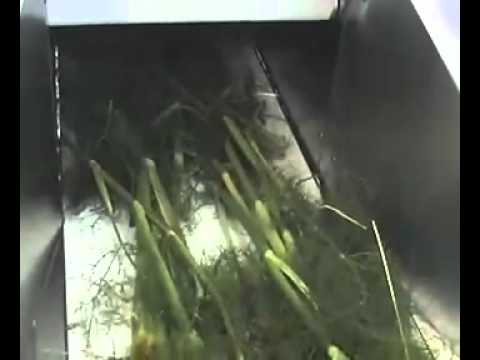 Plant material shredder / Измельчитель растительного сырья
