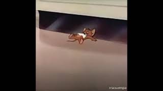Tom And Jerry - The Lonesome Mouse End Les My Gene Of Merry Melodies 1995 Turner Dubbed Versión