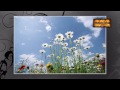 Vavakku Paadan Malayalam Christian Devotional Song