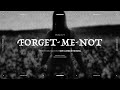 LIVEALIE - Forget-me-not (Official Music Video)