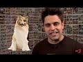 ENGLISH ACCENTS - Ray William Johnson Video