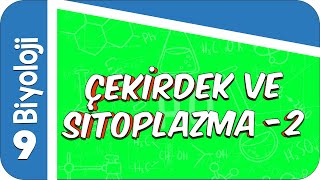 9. Sınıf Biyoloji Çekirdek Ve Sitoplazma -2