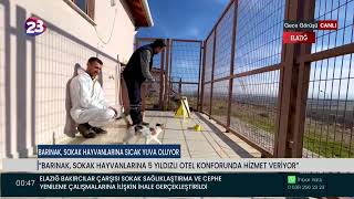 K23 Haber - Elazığ Haberleri Canlı Yayını