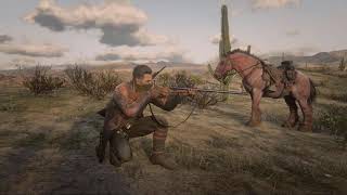 How to kind of hunt a cougar
