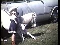 WILD BILL CODY'S WESTERN SHOW Cir. 1940s - 1950s
