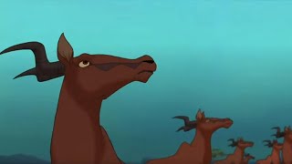Topi Antelope Turns Agian
