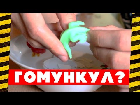 Как сделать гомункула в домашних