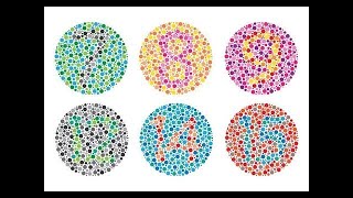 COLOR BLIND TEST - Enchroma Color Blind Glasses COLOR BLIND TEST - Enchroma Color Blind Glasses