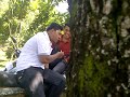 Cinta Terlarang Pontianak Membara images Cinta Terlarang Pontianak Membara