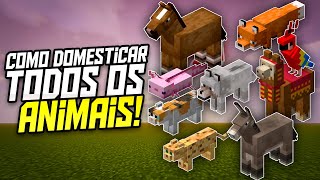 Como Domesticar Todos Os Animais No Minecraft