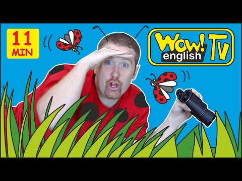 Animals in the Garden + MORE Stories with Steve and Maggie for Kids | Wow English TV