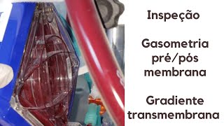 Avaliando a membrana do ECMO na prática: inspeção, gasometria e gradientes.