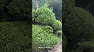 يوميات رغدة Raghda.k