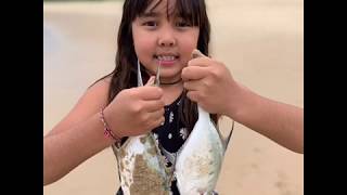 Family Projects with Paul Davidson