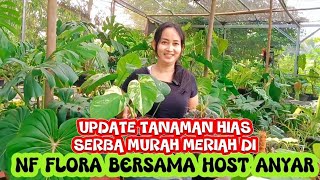 Update Tanaman Hias Serba Murah Meriah Di Nf Flora Bersama Host Anyar